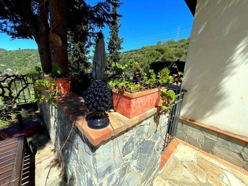 terrazza_con_orto_biologico_01